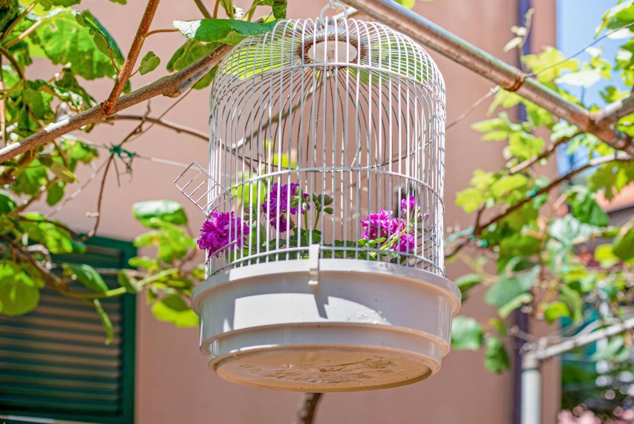Un'Oasi Al Mare Apartment Moneglia Ngoại thất bức ảnh